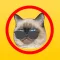 Cat Emoji Sticker Pack