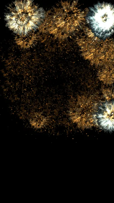 ภาพหน้าจอของ Fireworks Pro