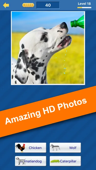 Guess the animal (free animal pictures game) Screenshots