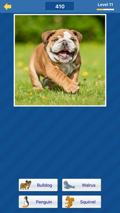 Guess the animal (free animal pictures game) Screenshots