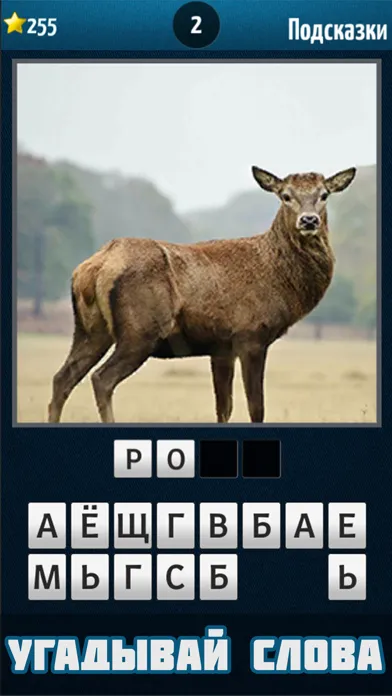 Capturas de tela do Чего не хватает?