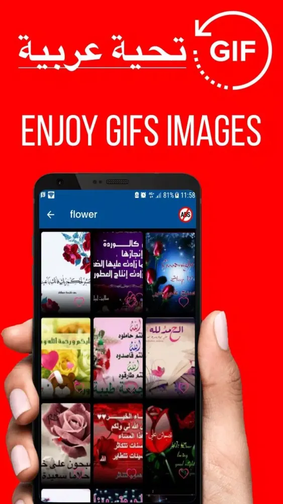 Arabic Good Night Gif Images Screenshots