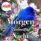 German Morning & Night Wishes