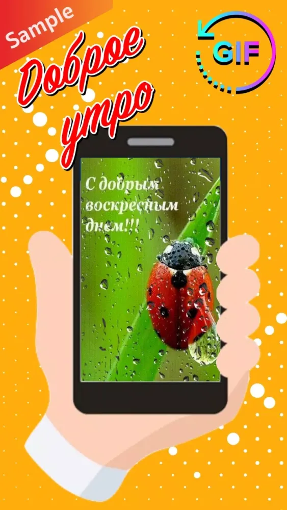 Capturas de tela do Russian Morning & Night Gifs