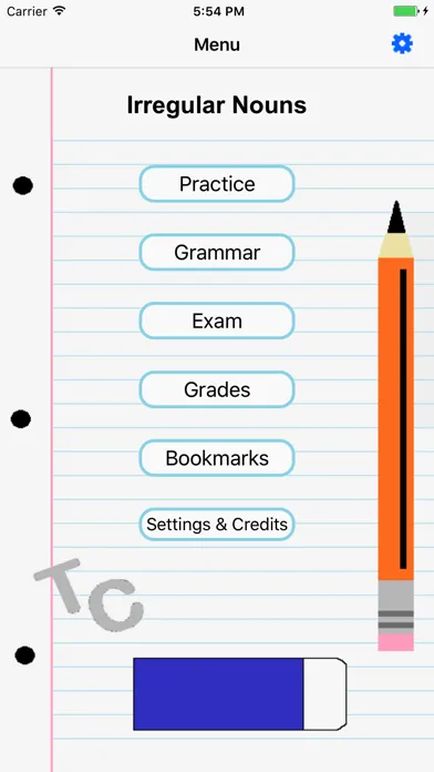 Irregular Nouns Screenshots