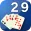 29 Card Game