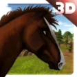 Wild Horse Adventure