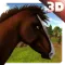 Wild Horse Adventure