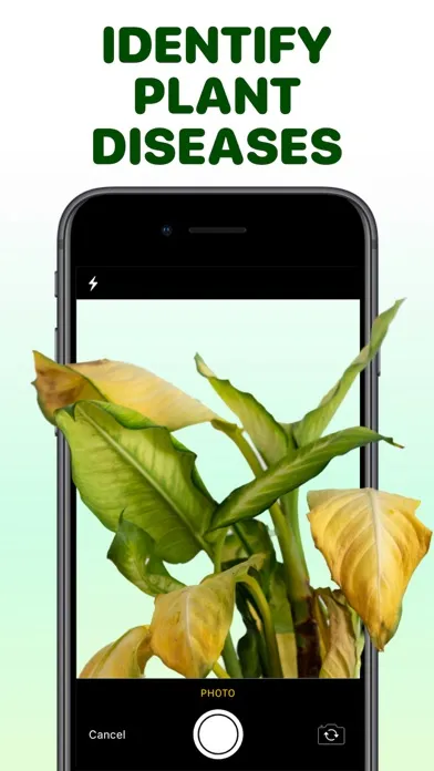 Plant Problem Identifier Screenshots