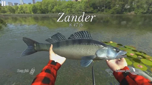 Ultimate Fishing Simulator-screenshot-2