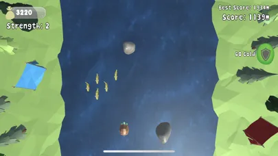 تصاویر Swimming Upstream