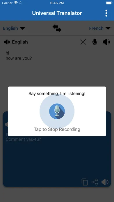 Screenshot di Universal Translator App