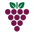 Verde Valley Wine Trail