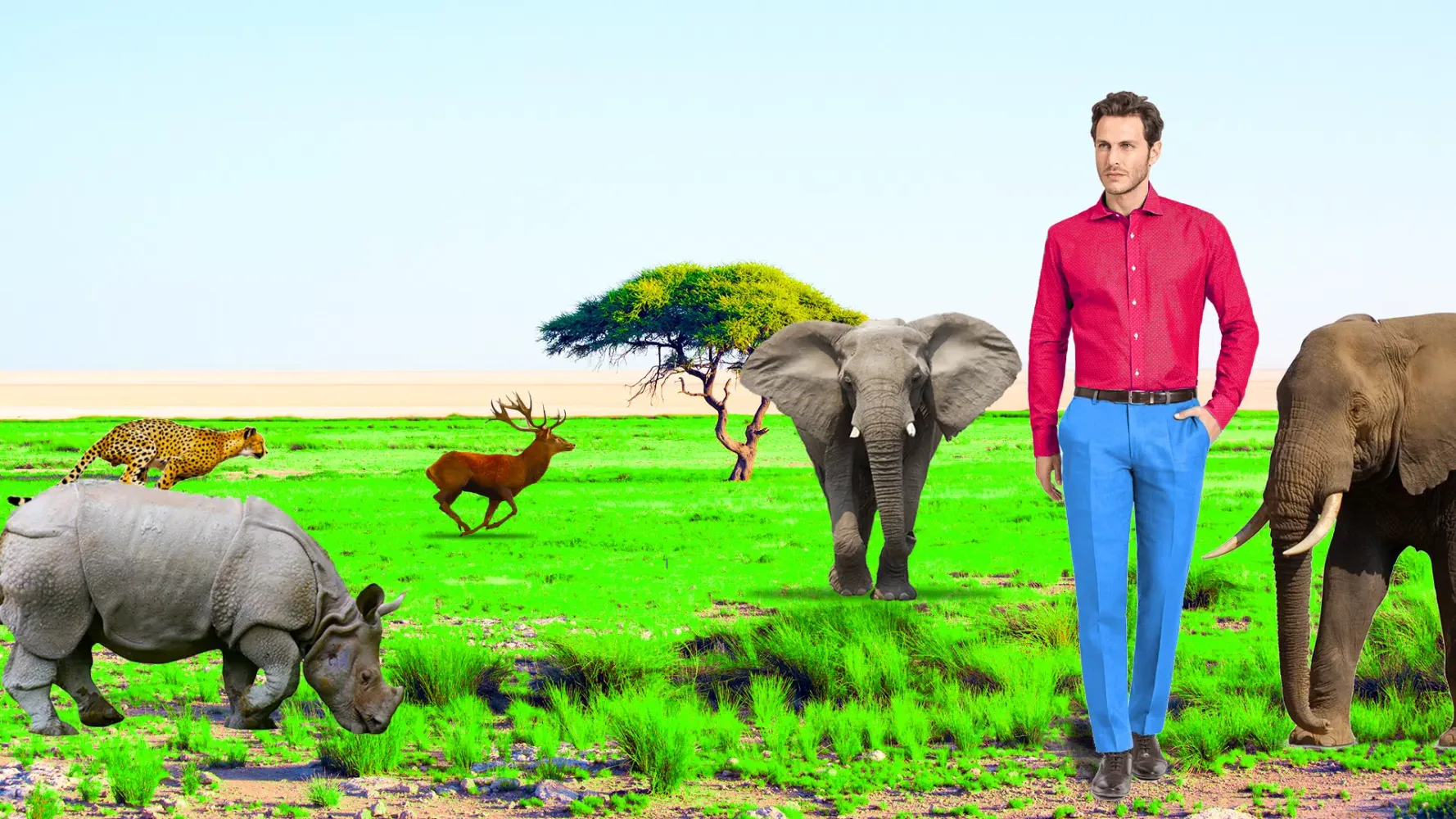 Wild Animal Photo Frame Editor Screenshots