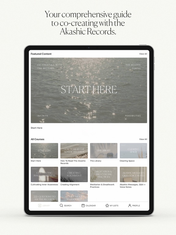 Capturas de pantalla de The Akashic Portal iPad 