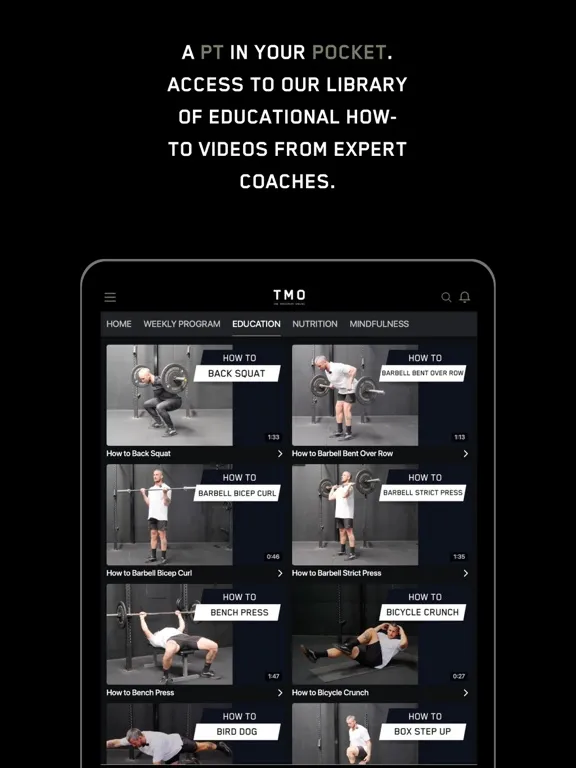 Capturas de tela do TMO - The Movement Online iPad 
