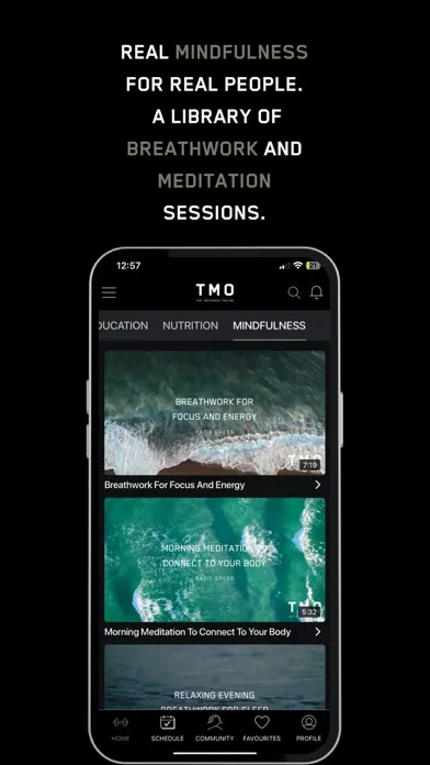 Capturas de tela do TMO - The Movement Online