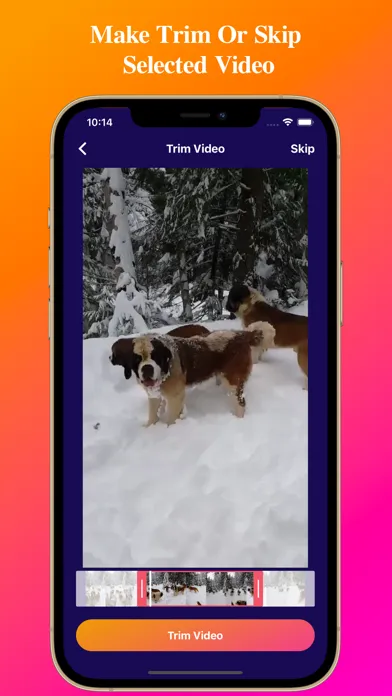 Video To Live Wallpapers স্ক্রিনশট