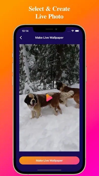 Video To Live Wallpapers স্ক্রিনশট