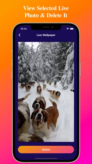 Video To Live Wallpapers স্ক্রিনশট