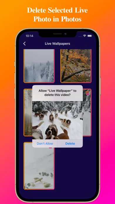 Video To Live Wallpapers স্ক্রিনশট