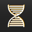 MgmtDNA MgmtDNA