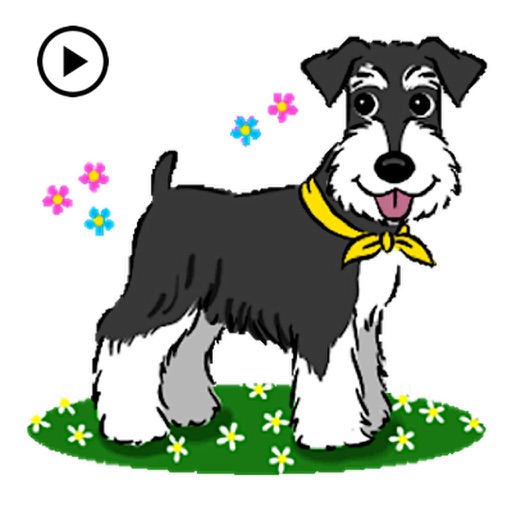 Animated Miniature Schnauzer