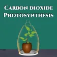 Carbon dioxide Photosynthesis Carbon dioxide Photosynthesis