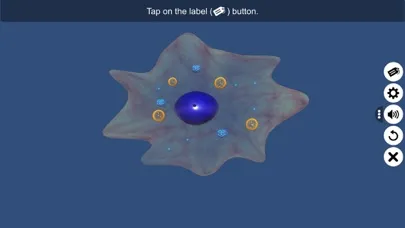Binary fission in Amoeba スクリーンショット