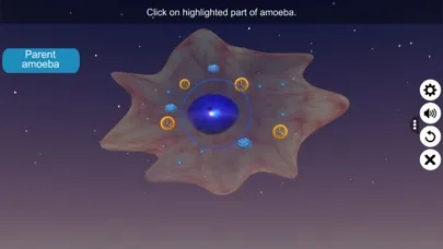 Binary fission in Amoeba スクリーンショット