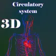 Circulatory system Circulatory system