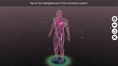 تصاویر Circulatory system