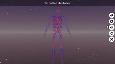 تصاویر Circulatory system