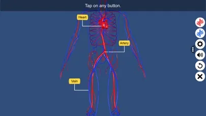 تصاویر Circulatory system