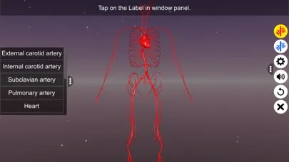 تصاویر Circulatory system