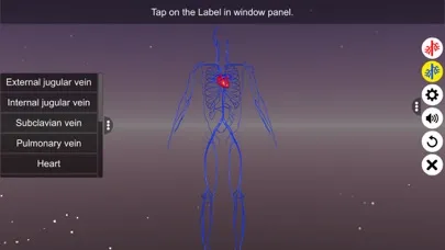 تصاویر Circulatory system