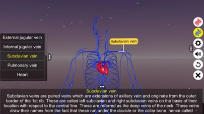 تصاویر Circulatory system