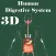 3D Human Digestive System