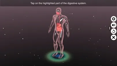 Screenshot di 3D Human Digestive System