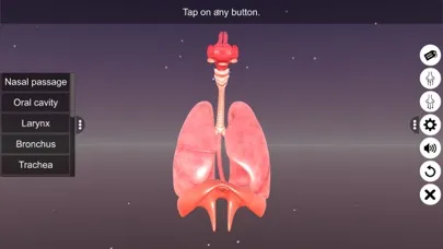 Human Respiratory System स्क्रीनशॉट