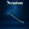 Learn Neuron