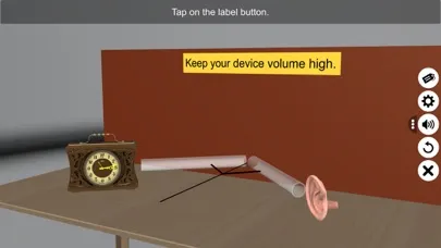 Reflection of Sound Screenshots