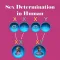 Sex Determination in Human