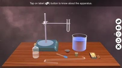 Acids react with metals スクリーンショット