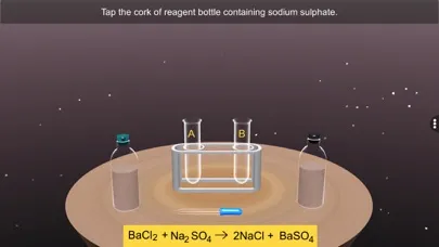 Screenshot di Double Displacement Reaction