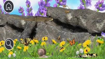 صور Kitty's Garden Safari