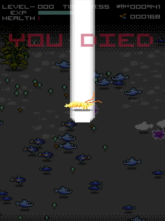Shrimp.io iPad  스크린샷