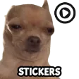 Memes Stickers WAStickerApps