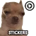 Memes Stickers WAStickerApps