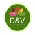 DV Outlet